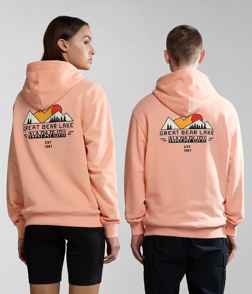 Napapijri Boyd Hoodie Muške Majica s Kapuljačom Roze | ZCSW-01963