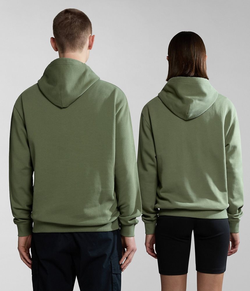 Napapijri Boyd Hoodie Ženske Majica s Kapuljačom Zelene | LKBT-86917