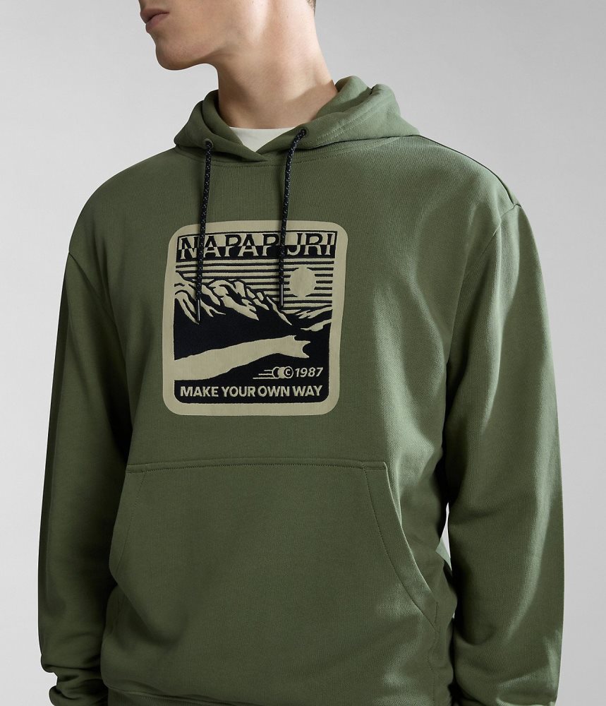 Napapijri Boyd Hoodie Ženske Majica s Kapuljačom Zelene | LKBT-86917