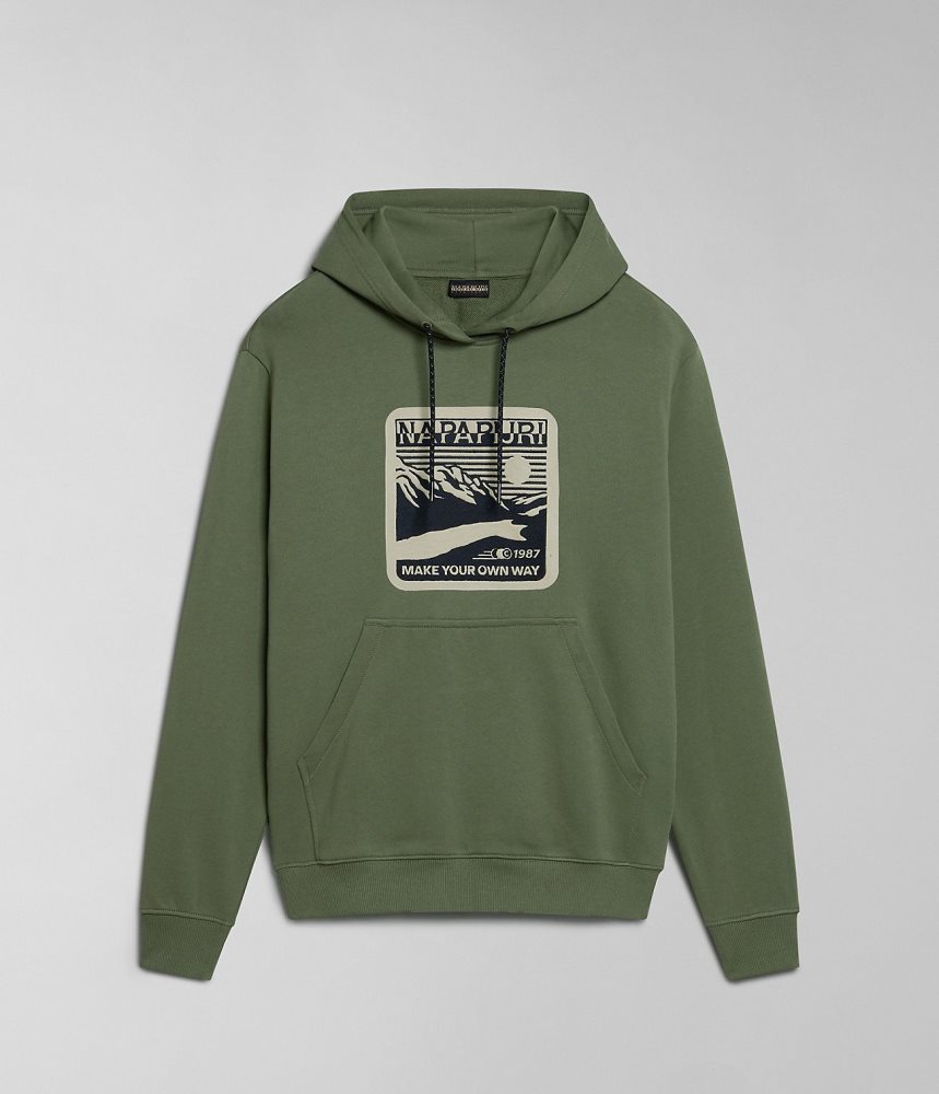 Napapijri Boyd Hoodie Ženske Majica s Kapuljačom Zelene | LKBT-86917