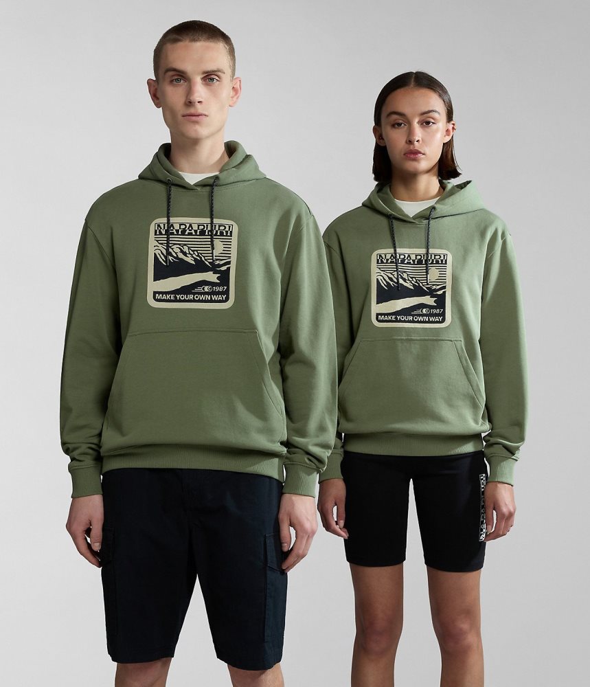 Napapijri Boyd Hoodie Ženske Majica s Kapuljačom Zelene | LKBT-86917