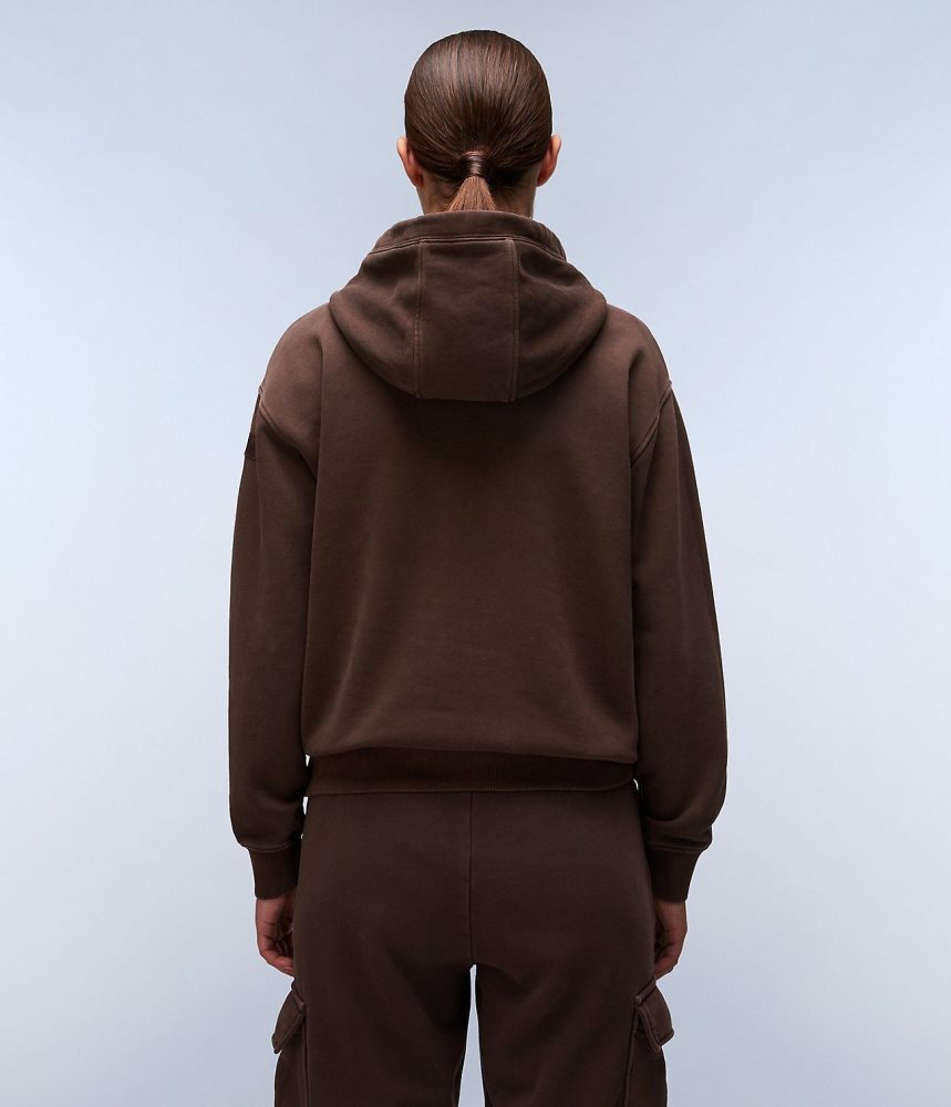 Napapijri Castor Hoodie Ženske Majica s Kapuljačom Smeđe | YETP-34897