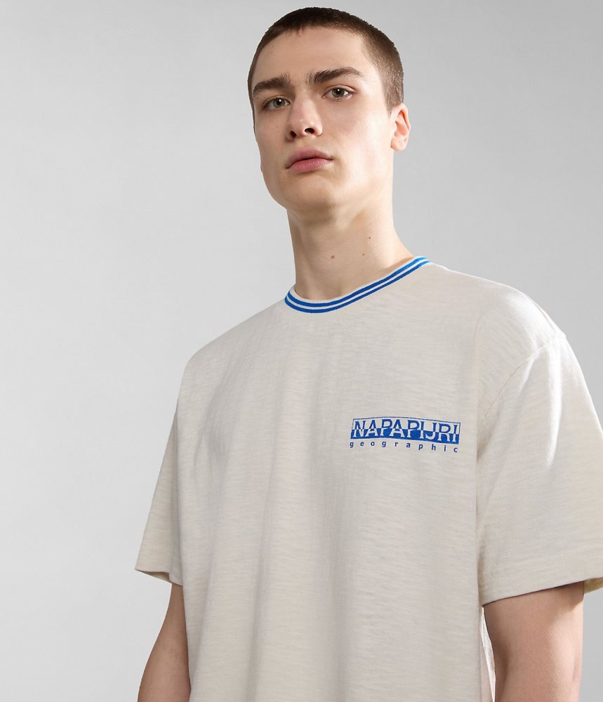 Napapijri Grober Short Sleeve T-Shirt Ženske Majice Bijele | ZBLE-79182