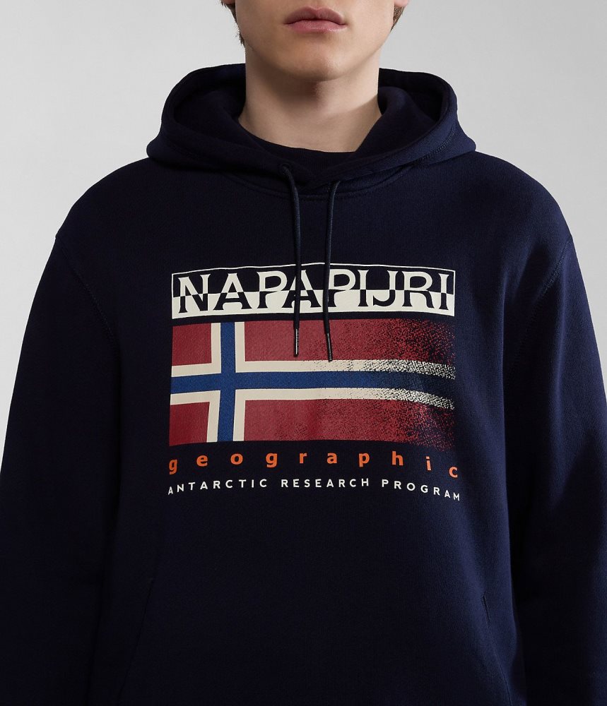 Napapijri Kreis Hoodie Muške Majica s Kapuljačom Tamno Plave | UNRL-79143