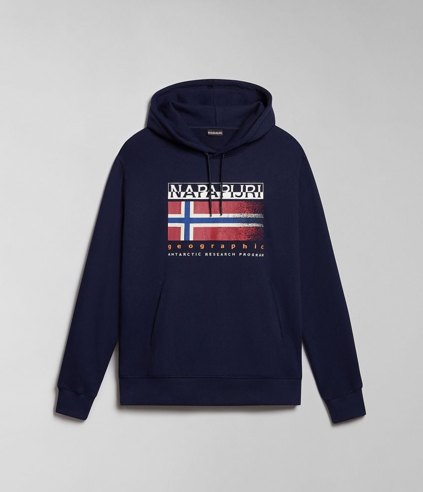Napapijri Kreis Hoodie Muške Majica s Kapuljačom Tamno Plave | UNRL-79143