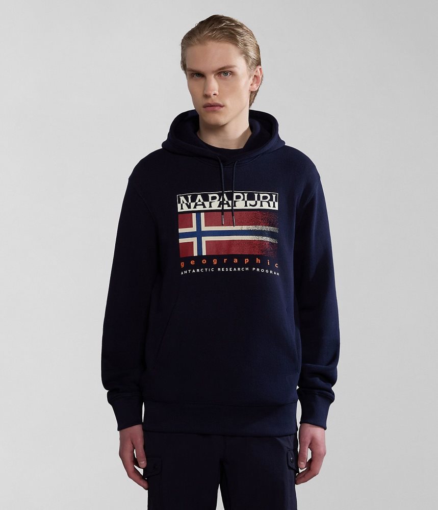 Napapijri Kreis Hoodie Muške Majica s Kapuljačom Tamno Plave | UNRL-79143