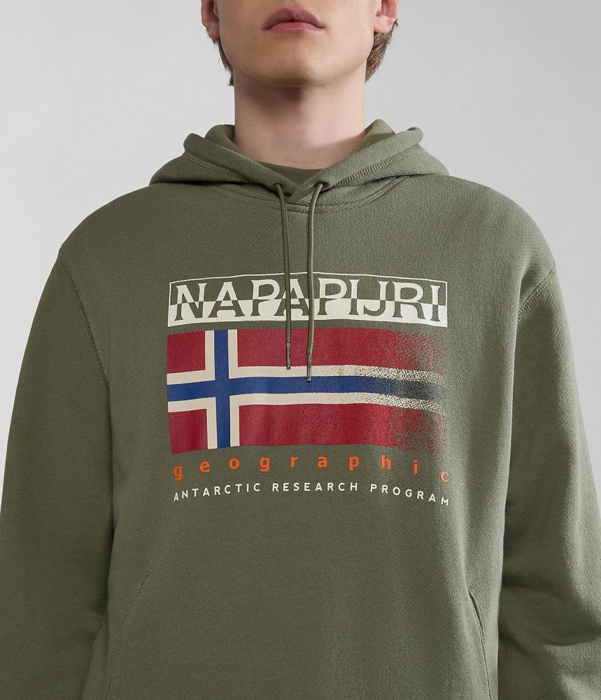 Napapijri Kreis Hoodie Muške Majica s Kapuljačom Zelene | LSDH-07861