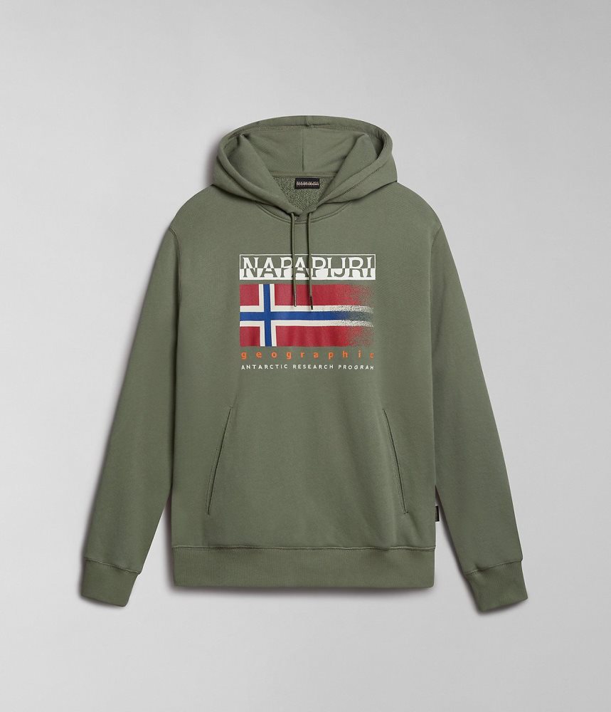 Napapijri Kreis Hoodie Muške Majica s Kapuljačom Zelene | LSDH-07861