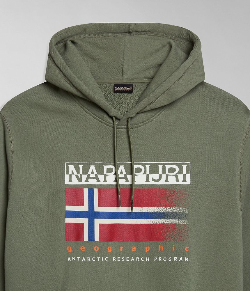 Napapijri Kreis Hoodie Muške Majica s Kapuljačom Zelene | LSDH-07861