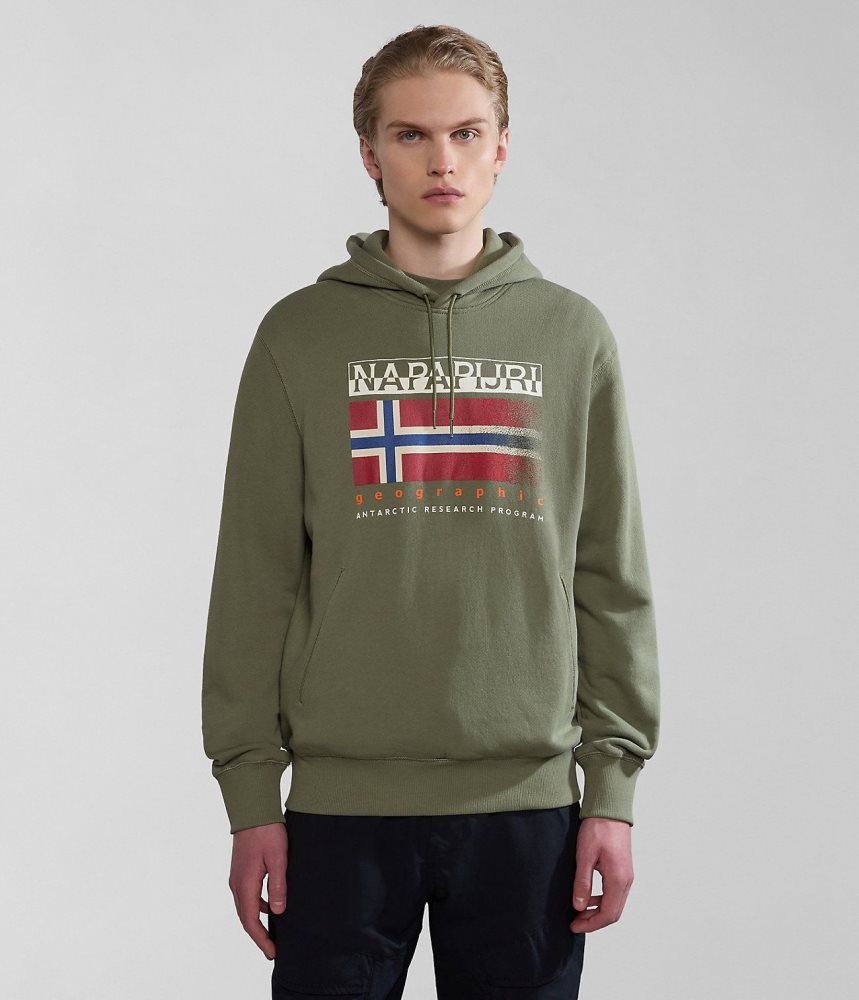 Napapijri Kreis Hoodie Muške Majica s Kapuljačom Zelene | LSDH-07861