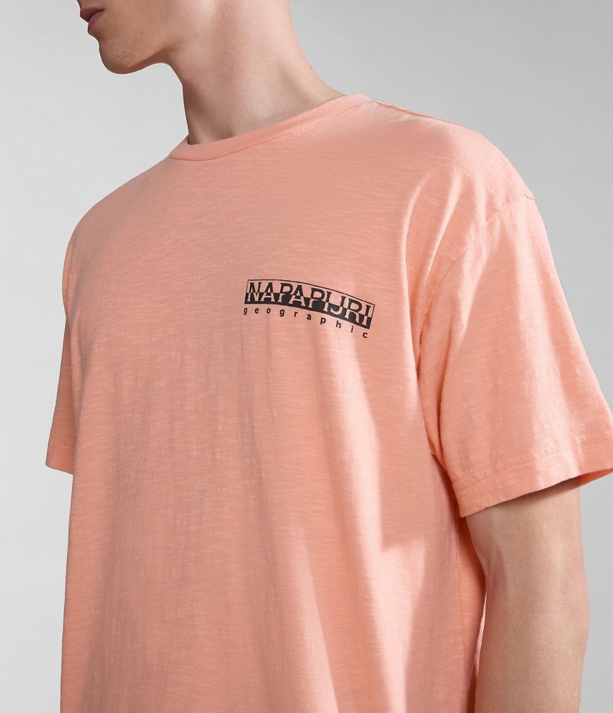 Napapijri Martre Short Sleeve T-Shirt Ženske Majice Roze | LQCT-40916